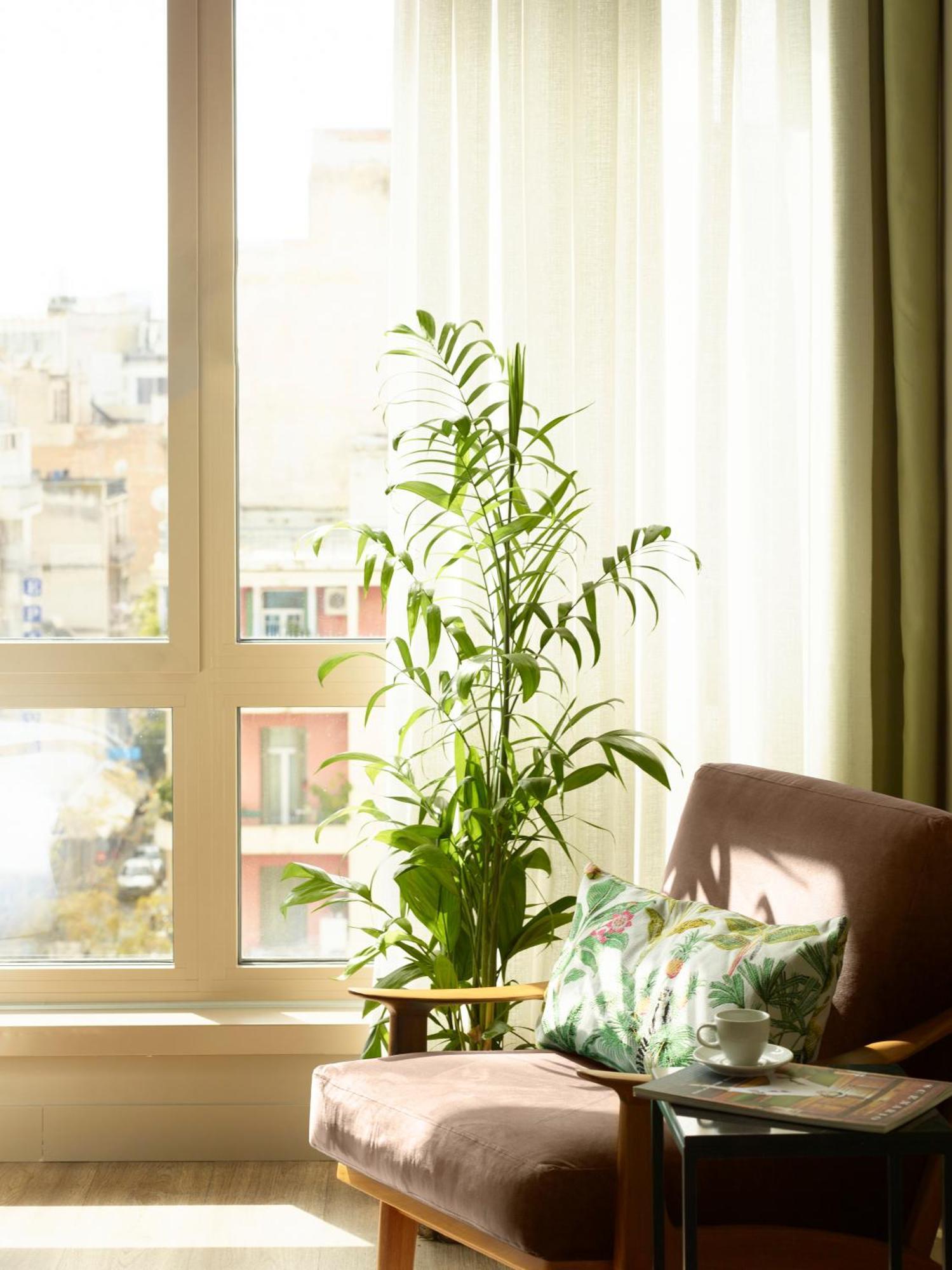 Superior Double or Twin Room City View